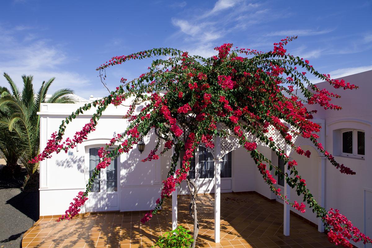 Apartamentos Livvo Coloradamar Playa Blanca  Exterior photo